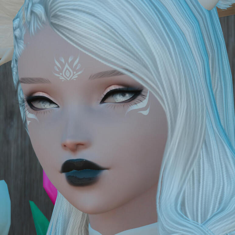 Makeup and Markings CM Makeup and Markings CM
